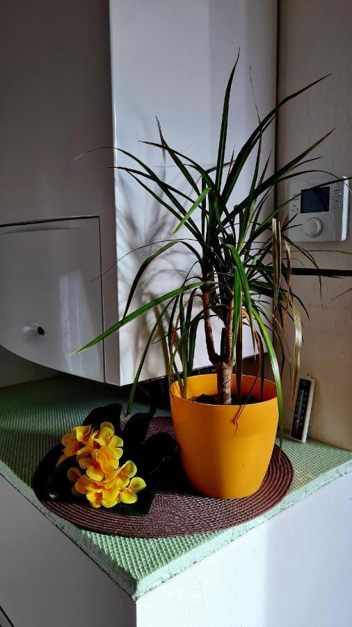 Apartement *Harzblick* Νορντχάουζεν Εξωτερικό φωτογραφία